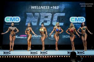 WELLNESS +163